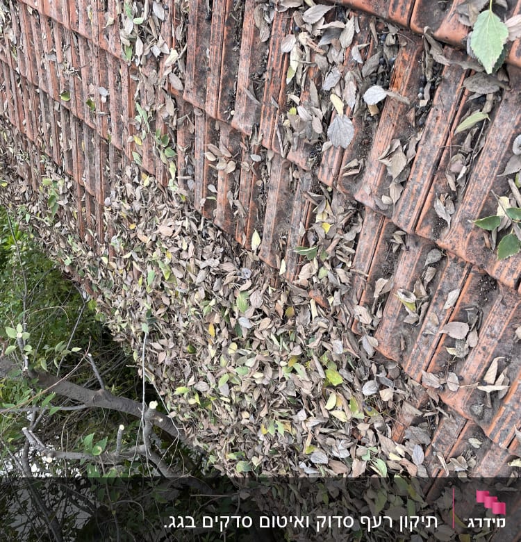 גג רעפים מכוסה בעלים יבשים וענפים